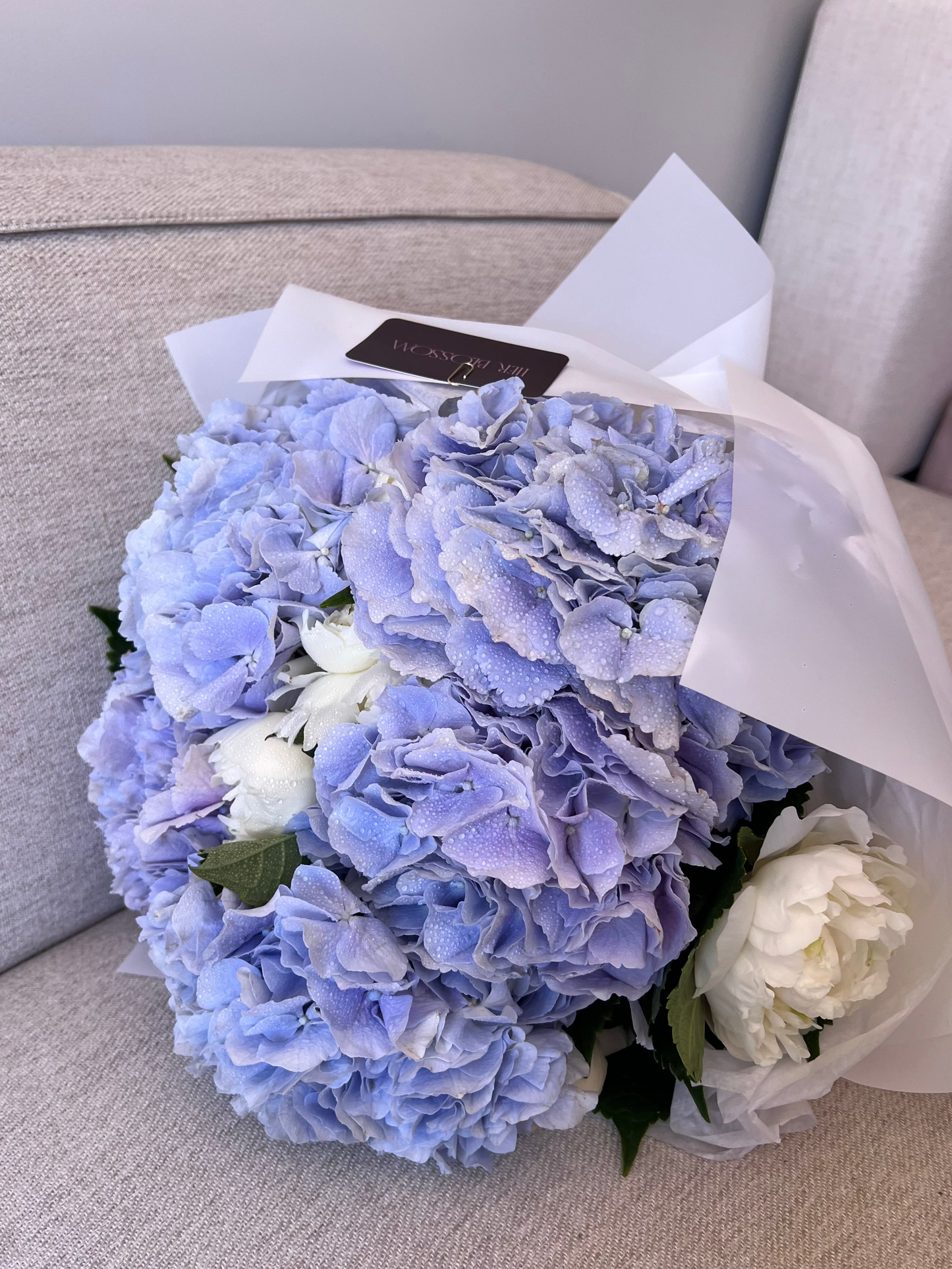 Hydrangea & Peony Duo