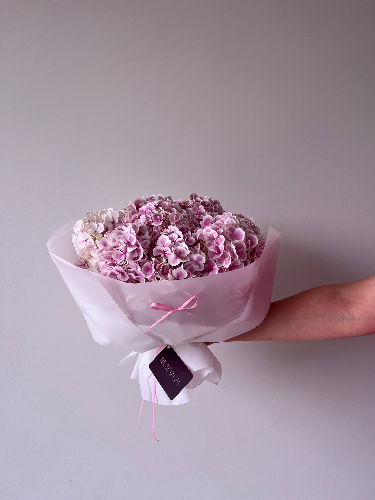 Hydrangeas