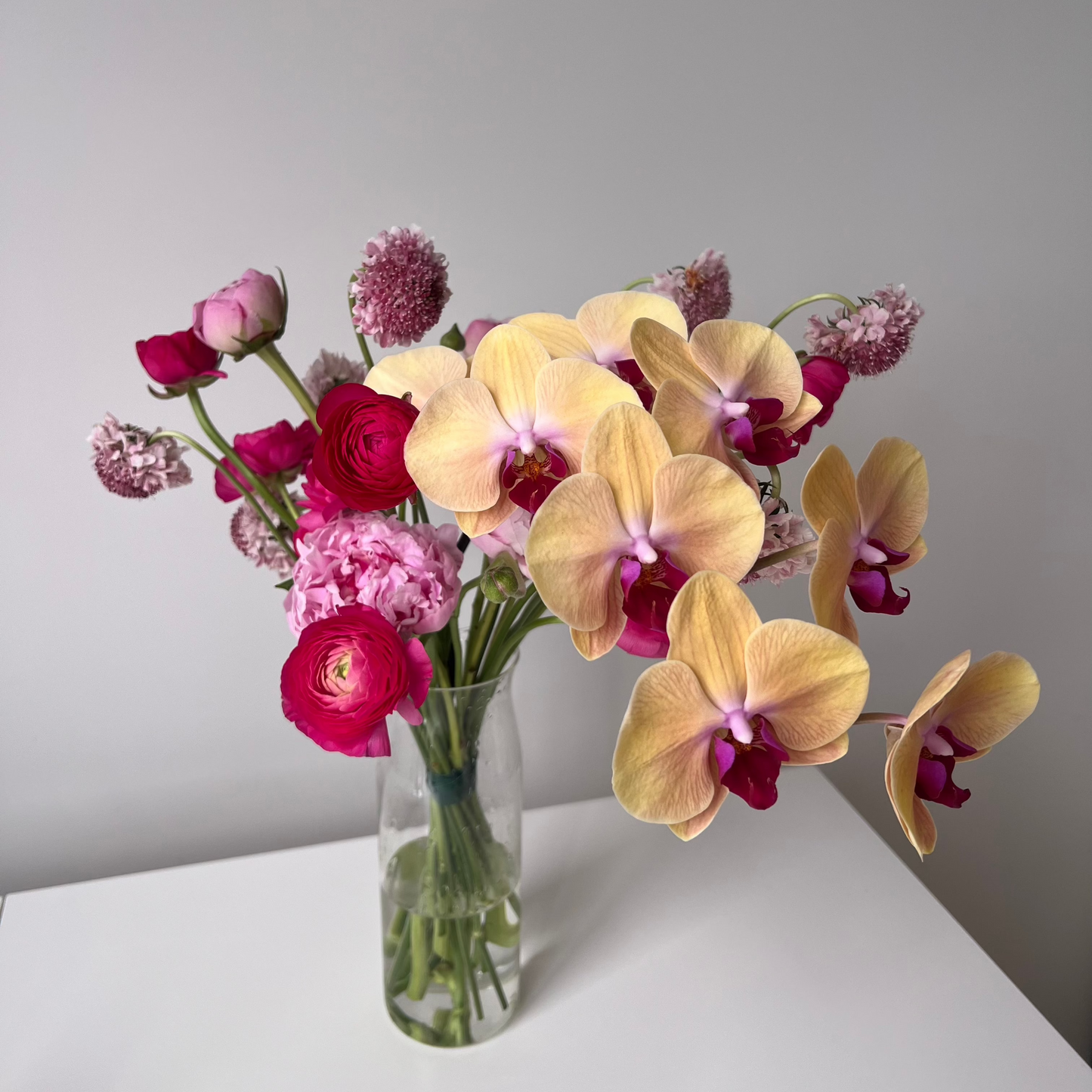 Orchid