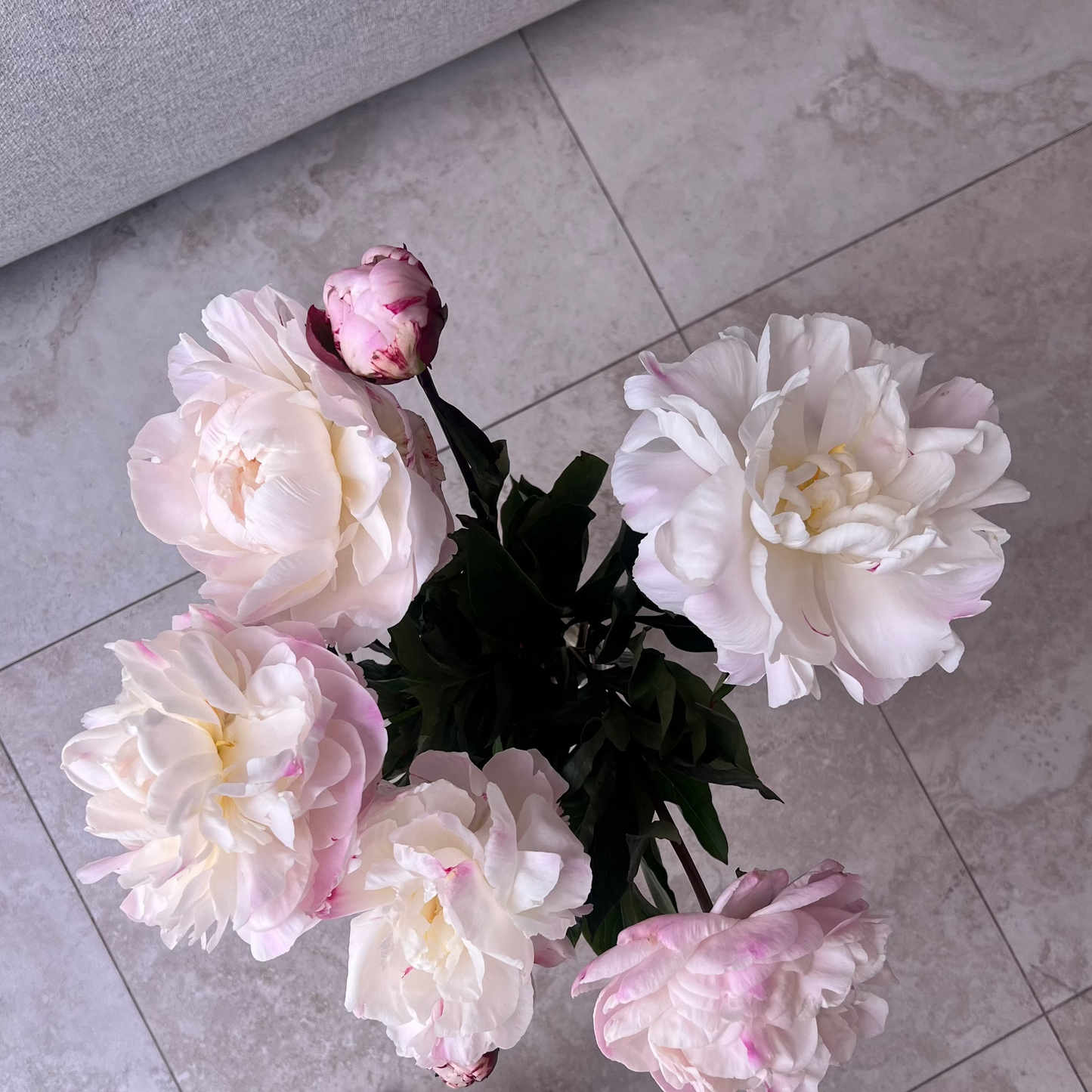 Peonies en masse