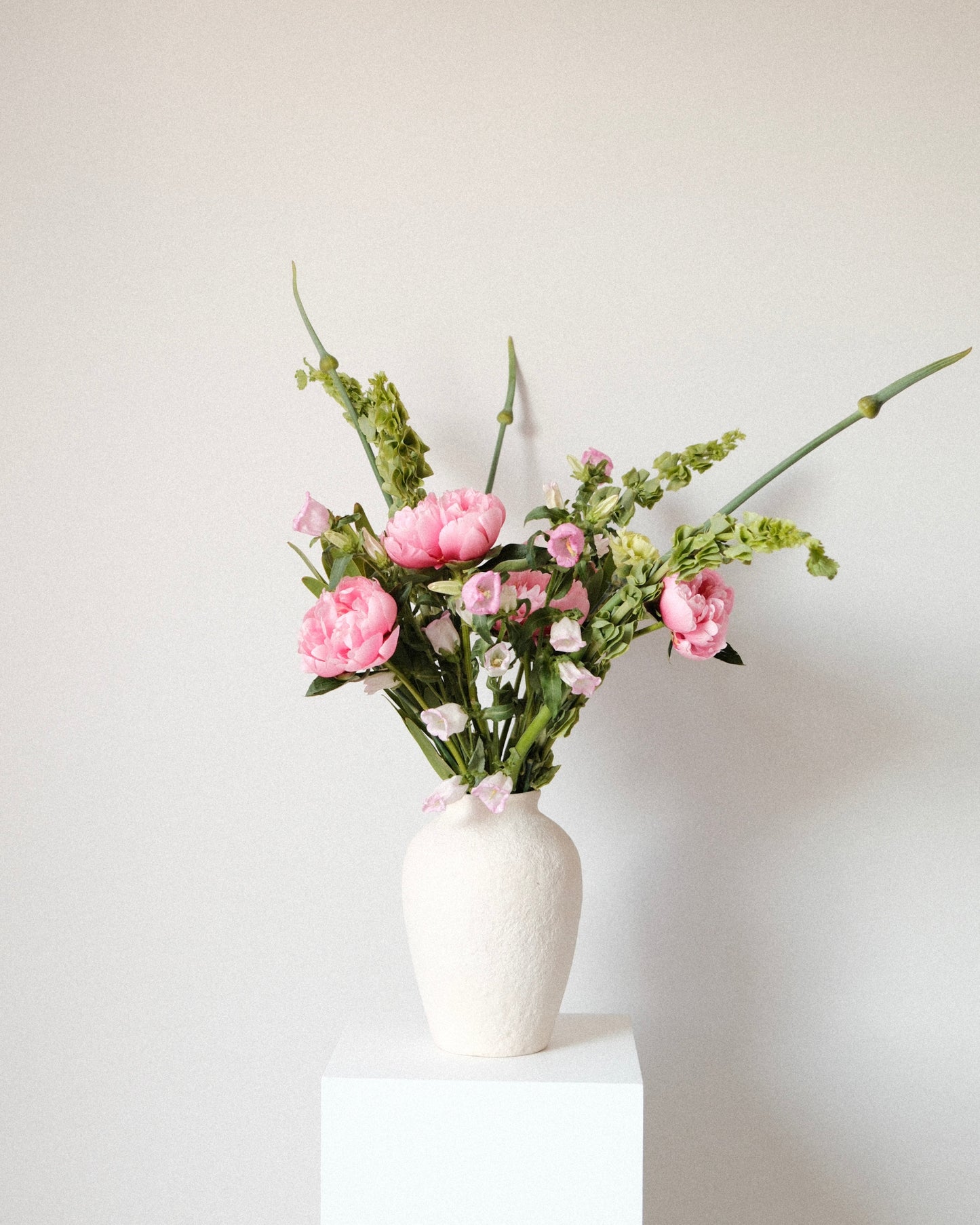 Bold Peony