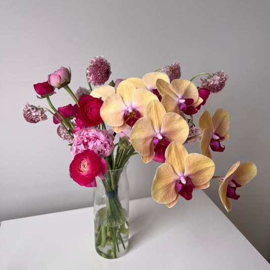 Orchid