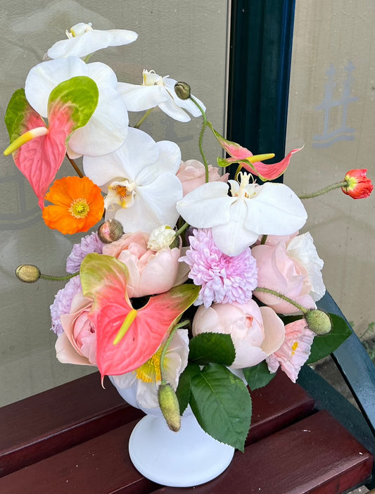 Gentle Orchid